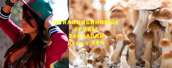 ALPHA-PVP Козловка