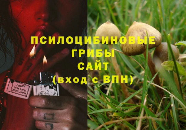 соль курить ск Козельск