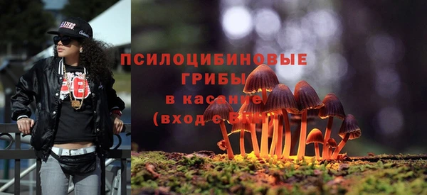 соль курить ск Козельск