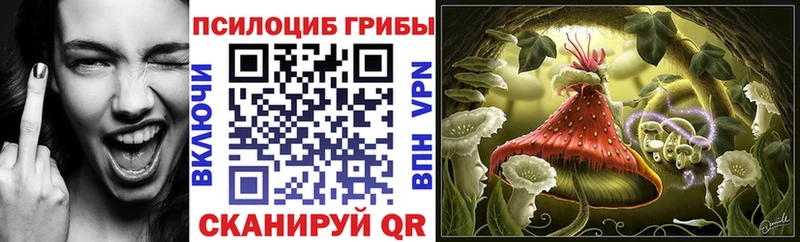 Купить закладки  Туринск  Галлюциногенные грибы Magic Shrooms 